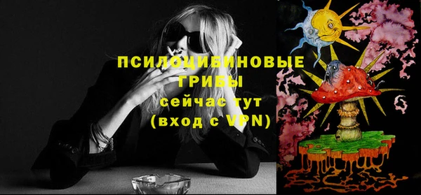 хмурый Абинск