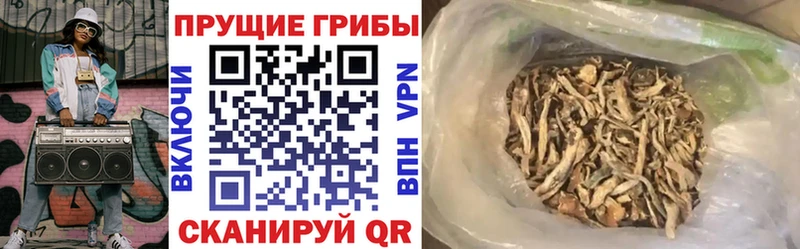 Псилоцибиновые грибы Psilocybe Мурино