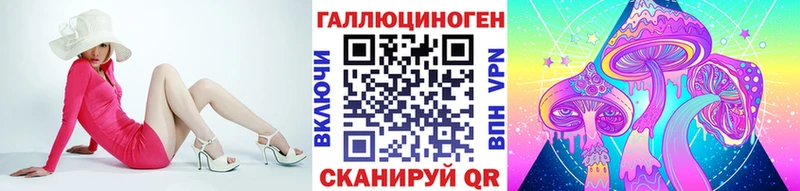 дарнет шоп  Мурино  Галлюциногенные грибы Psilocybe 