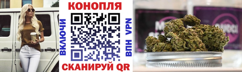 Конопля White Widow  магазин    Мурино 